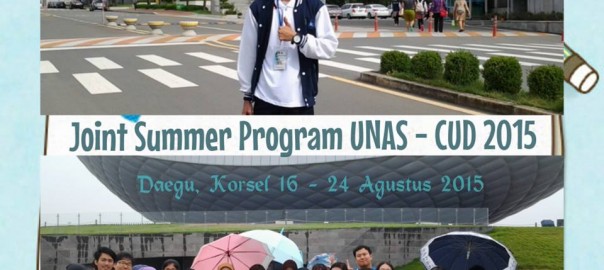 The Joint Summer Program Unas